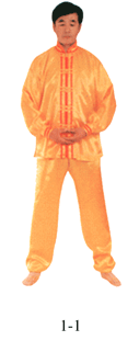 Figura 1-1