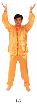 Figura 1-3