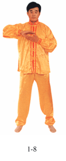 Figura 1-8