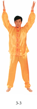 Figura 3-3