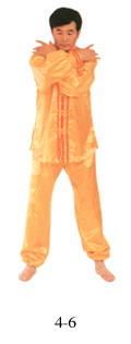 Figura 4-6